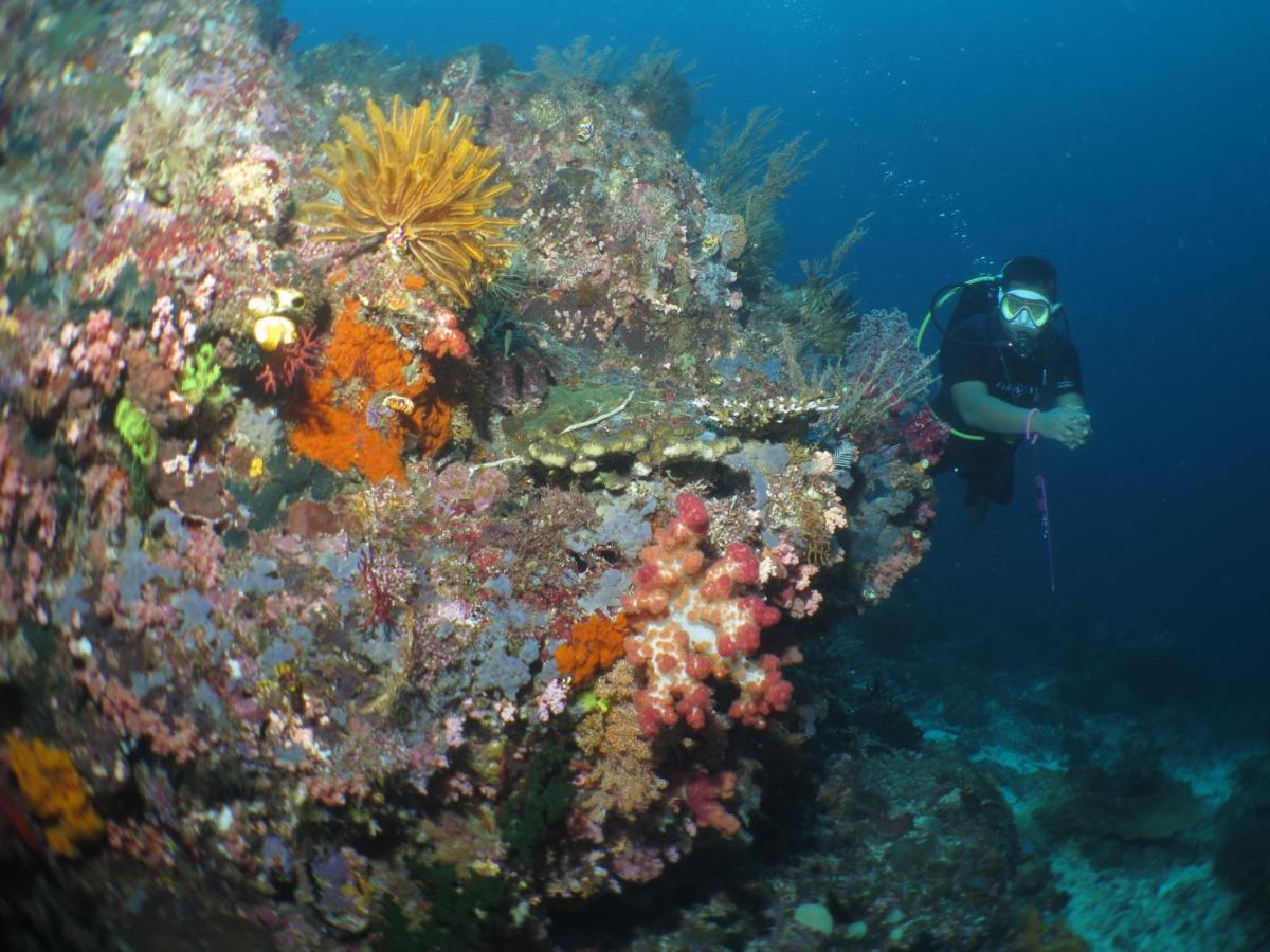 Hamueco Dive Resort Raja Ampat Rabia Exteriör bild